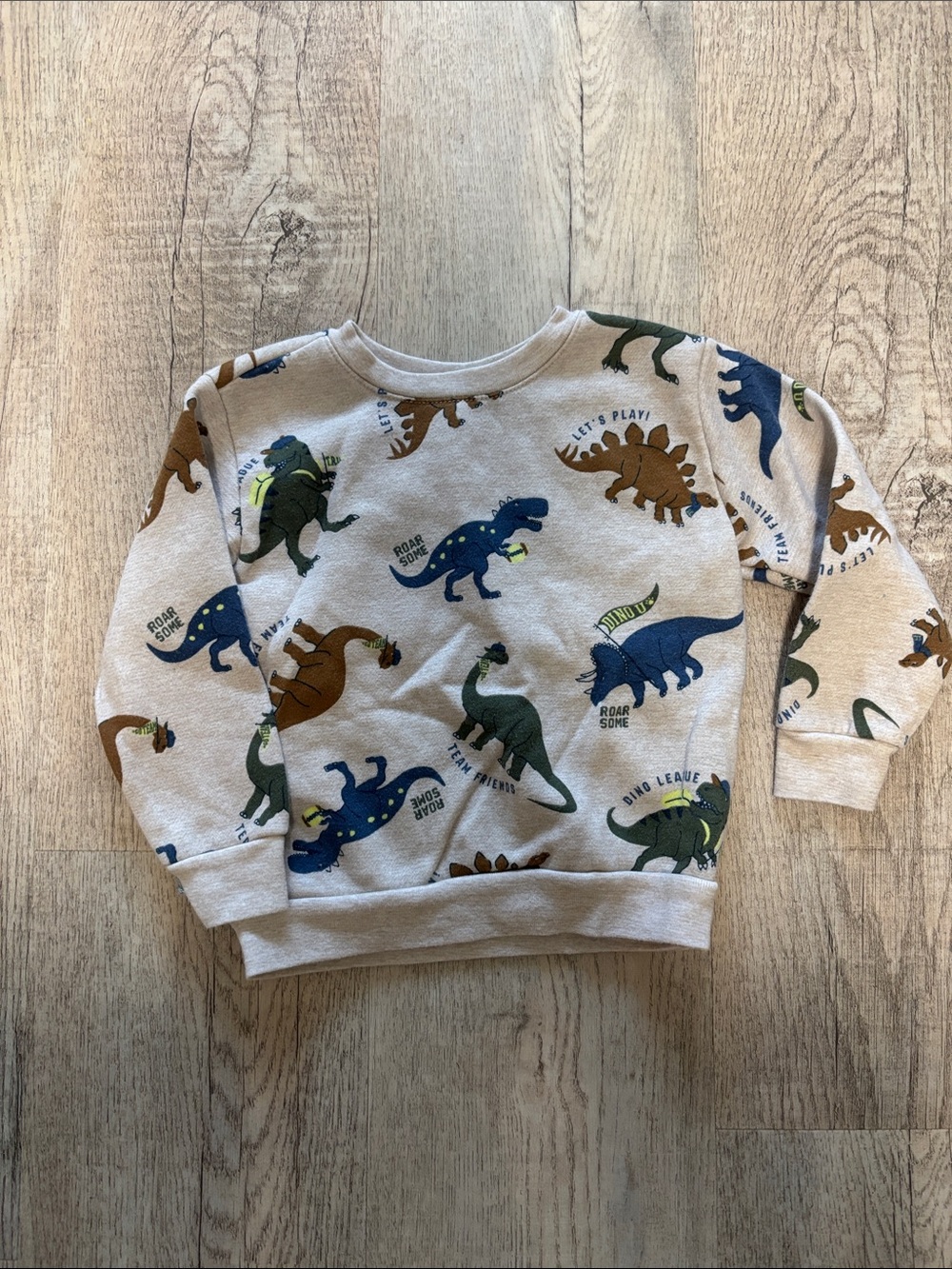 Kids' Dino Print Crewneck Sweatshirt - Beige with Blue, Green & Brown Dinosaurs